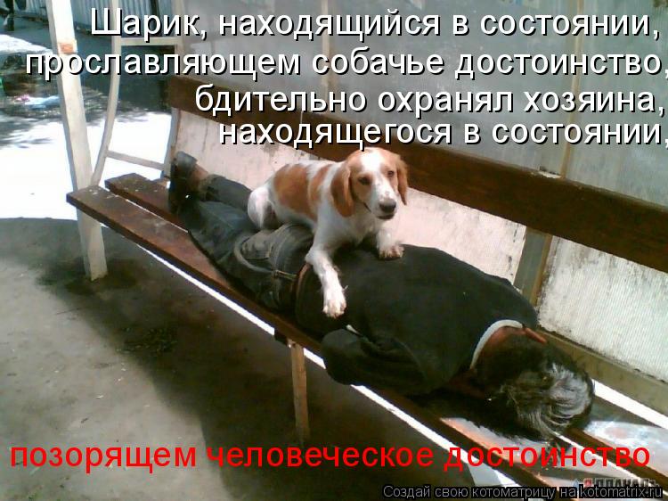 Шарик, находящийся в состоянии, прославляющем собачье достоинство, бдительно охранял хозяина, нахо... Котоматрица: Шарик, находящийся в состоянии, прославляющем собачье достоинство, бдительно охранял хозяина, находящегося в состоянии, позорящем челов