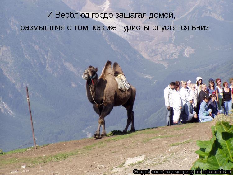 И Верблюд гордо зашагал домой, размышляя о том, как же туристы спустятся вниз.... Котоматрица: И Верблюд гордо зашагал домой, размышляя о том, как же туристы спустятся вниз.