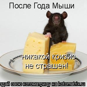 После Года Мыши никакой кризис не страшен!... Котоматрица: После Года Мыши никакой кризис не страшен!