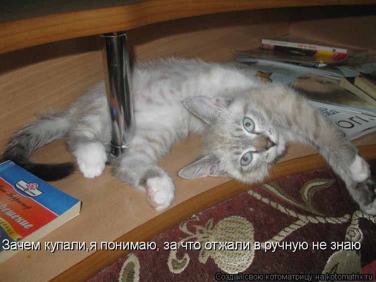 Зачем купали,я понимаю, за что отжали в ручную не знаю... Котоматрица: Зачем купали,я понимаю, за что отжали в ручную не знаю