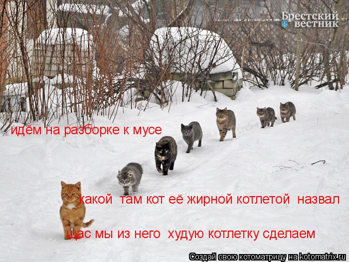 идём на разборке к мусе щас мы из него худую котлетку сделаем какой там кот её жирной котлетой наз... Котоматрица: идём на разборке к мусе щас мы из него худую котлетку сделаем какой там кот её жирной котлетой назвал