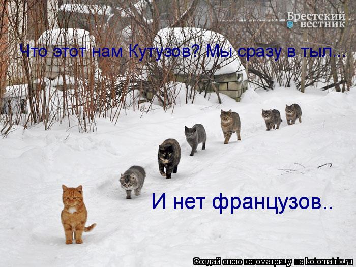 Что этот нам Кутузов? Мы сразу в тыл... И нет французов..... Котоматрица: Что этот нам Кутузов? Мы сразу в тыл... И нет французов..