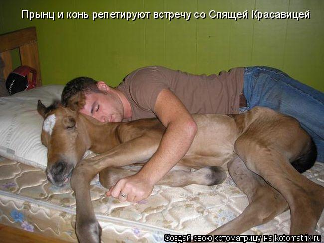 Прынц и конь репетируют встречу со Спящей Красавицей... Котоматрица: Прынц и конь репетируют встречу со Спящей Красавицей