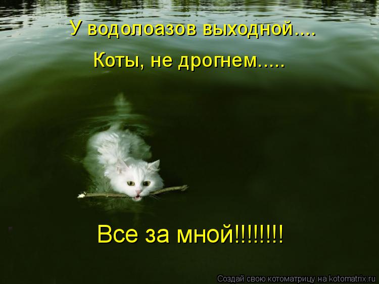 У водолоазов выходной.... Коты, не дрогнем..... Все за мной!!!!!!!!... Котоматрица: У водолоазов выходной.... Коты, не дрогнем..... Все за мной!!!!!!!!