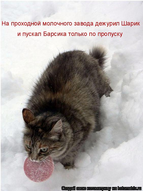 На проходной молочного завода дежурил Шарик и пускал Барсика только по пропуску... Котоматрица: На проходной молочного завода дежурил Шарик и пускал Барсика только по пропуску