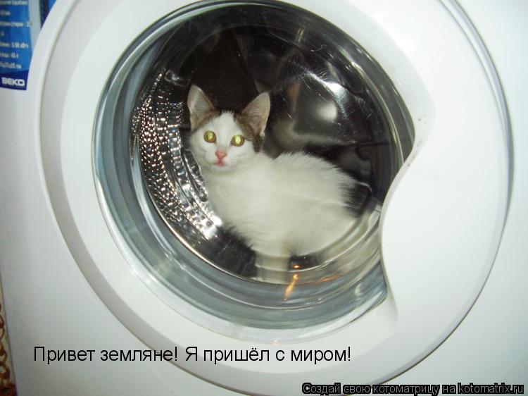 Привет земляне! Я пришёл с миром!... Котоматрица: Привет земляне! Я пришёл с миром!