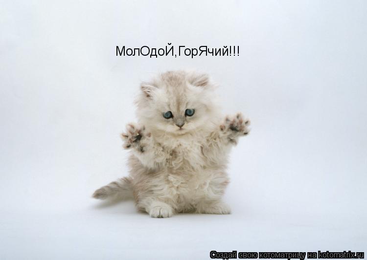 МолОдоЙ,ГорЯчий!!!... Котоматрица: МолОдоЙ,ГорЯчий!!!