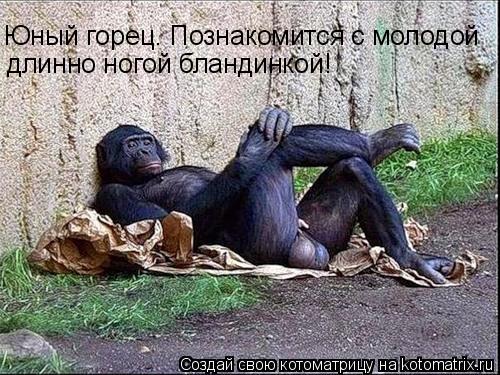 Юный горец. Познакомится с молодой длинно ногой бландинкой!... Котоматрица: Юный горец. Познакомится с молодой длинно ногой бландинкой!
