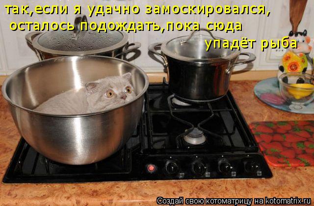 так,если я удачно замоскировался, осталось подождать,пока сюда упадёт рыба... Котоматрица: так,если я удачно замоскировался, осталось подождать,пока сюда упадёт рыба