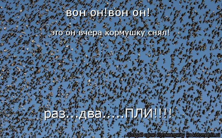 вон он!вон он! это он вчера кормушку снял! раз...два.....ПЛИ!!!!... Котоматрица: вон он!вон он! это он вчера кормушку снял! раз...два.....ПЛИ!!!!