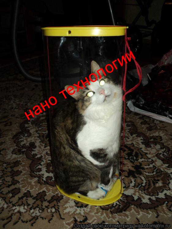 нано технологии... Котоматрица: нано технологии