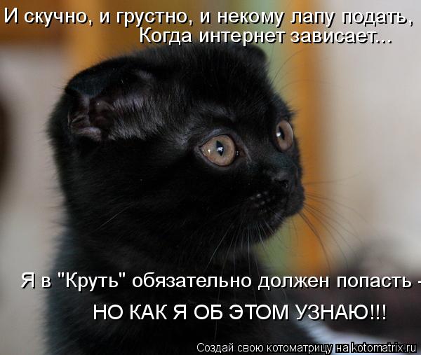 Котоматрица: И скучно, и грустно, и некому лапу подать,  Когда интернет зависает... Я в "Круть" обязательно должен попасть -  НО КАК Я ОБ ЭТОМ УЗНАЮ!!!