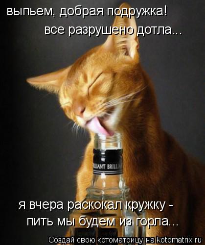 выпьем, добрая подружка! все разрушено дотла... я вчера раскокал кружку - пить мы будем из горла...... Котоматрица: выпьем, добрая подружка! все разрушено дотла... я вчера раскокал кружку - пить мы будем из горла...