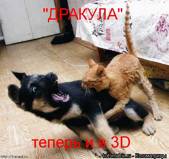 "ДРАКУЛА" теперь и в 3D... Котоматрица: "ДРАКУЛА" теперь и в 3D