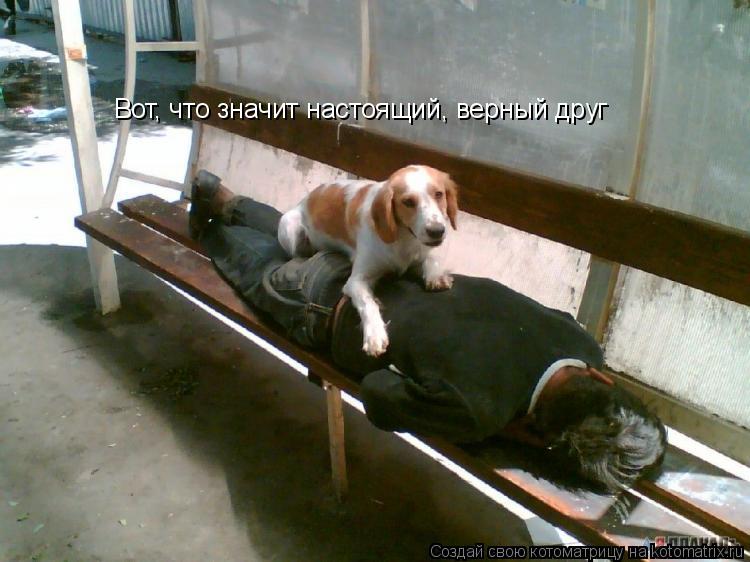 Вот, что значит настоящий, верный друг... Котоматрица: Вот, что значит настоящий, верный друг