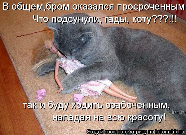 так и буду ходить озабоченным, Что подсунули, гады, коту???!!! нападая на всю красоту! В общем,бром ... Котоматрица: так и буду ходить озабоченным, Что подсунули, гады, коту???!!! нападая на всю красоту! В общем,бром оказался просроченным!