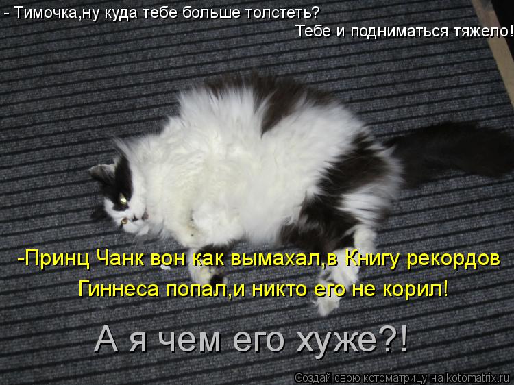 - Тимочка,ну куда тебе больше толстеть? Тебе и подниматься тяжело! -Принц Чанк вон как вымахал,в Книг... Котоматрица: - Тимочка,ну куда тебе больше толстеть? Тебе и подниматься тяжело! -Принц Чанк вон как вымахал,в Книгу рекордов Гиннеса попал,и никто его не к