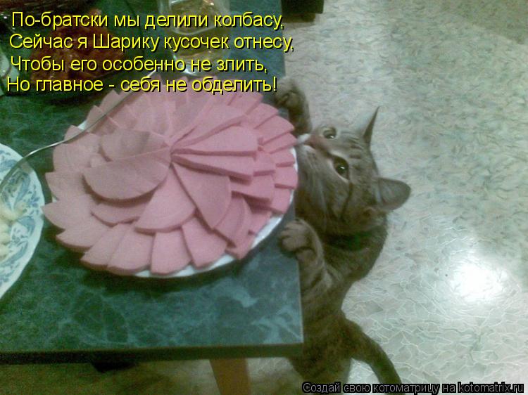Котоматрица: По-братски мы делили колбасу, Сейчас я Шарику кусочек отнесу, Чтобы его особенно не злить, Но главное - себя не обделить!