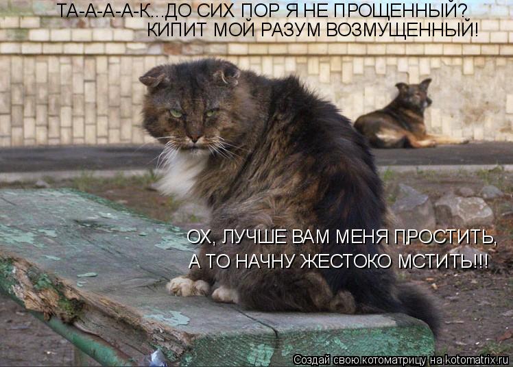 Котоматрица: ТА-А-А-А-К...ДО СИХ ПОР Я НЕ ПРОЩЕННЫЙ? КИПИТ МОЙ РАЗУМ ВОЗМУЩЕННЫЙ! ОХ, ЛУЧШЕ ВАМ МЕНЯ ПРОСТИТЬ,  А ТО НАЧНУ ЖЕСТОКО МСТИТЬ!!!