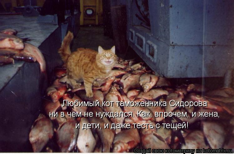 Любимый кот таможенника Сидорова ни в чем не нуждался. Как, впрочем, и жена, и дети, и даже тесть с т... Котоматрица: Любимый кот таможенника Сидорова ни в чем не нуждался. Как, впрочем, и жена, и дети, и даже тесть с тещей!