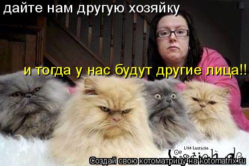 Котоматрица: дайте нам другую хозяйку  и тогда у нас будут другие лица!!!