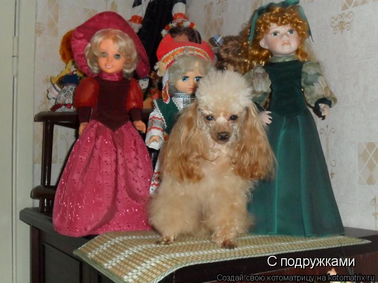 Котоматрица: С подружками