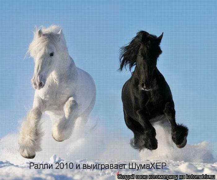 Котоматрица: Ралли 2010 и выигравает ШумаХЕР