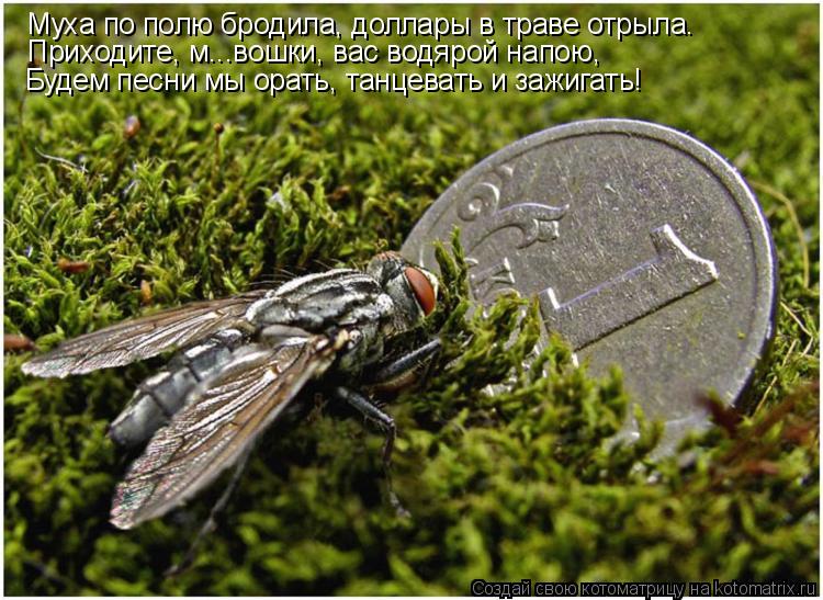 Муха по полю бродила, доллары в траве отрыла. Приходите, м...вошки, вас водярой напою, Будем песни мы... Котоматрица: Муха по полю бродила, доллары в траве отрыла. Приходите, м...вошки, вас водярой напою, Будем песни мы орать, танцевать и зажигать!