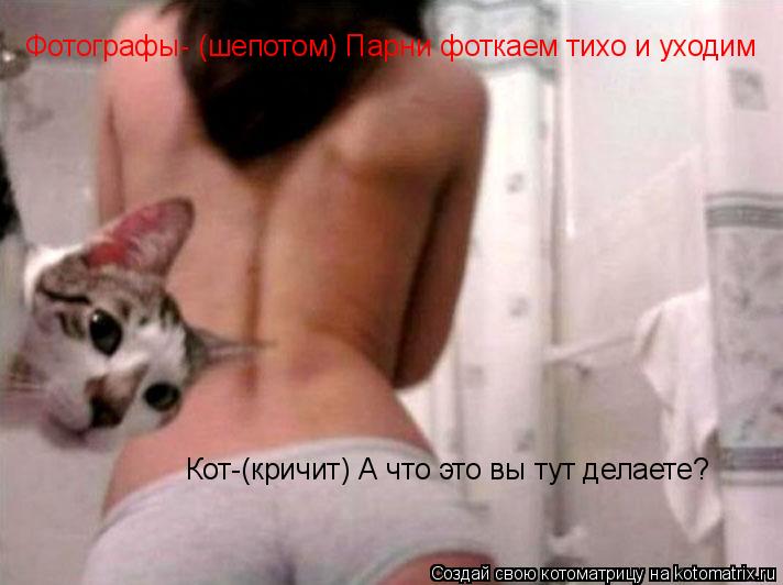 Котоматрица: Фотографы- (шепотом) Парни фоткаем тихо и уходим Кот-(кричит) А что это вы тут делаете?