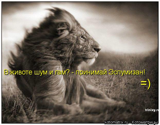 В животе шум и гам? - принимай Эспумизан! =)... Котоматрица: В животе шум и гам? - принимай Эспумизан! =)
