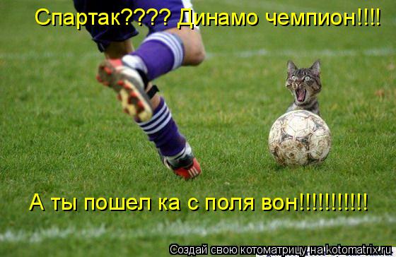 Спартак???? Динамо чемпион!!!! А ты пошел ка с поля вон!!!!!!!!!!!... Котоматрица: Спартак???? Динамо чемпион!!!! А ты пошел ка с поля вон!!!!!!!!!!!