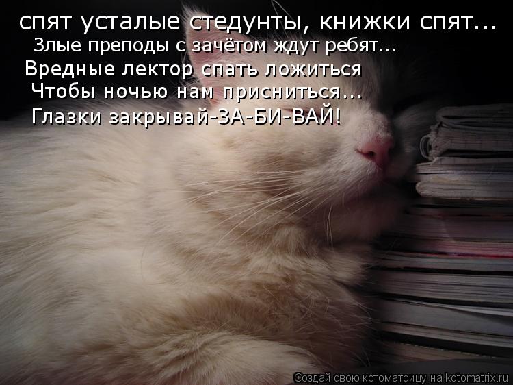 Котоматрица: спят усталые стедунты, книжки спят...  Злые преподы с зачётом ждут ребят...  Вредные лектор спать ложиться,  Чтобы ночью нам присниться...  Глаз