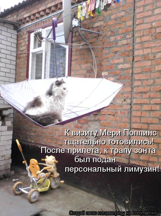 К визиту Мери Поппинс тщательно готовились! После прилета, к трапу зонта был подан персональный ли... Котоматрица: К визиту Мери Поппинс тщательно готовились! После прилета, к трапу зонта был подан персональный лимузин!