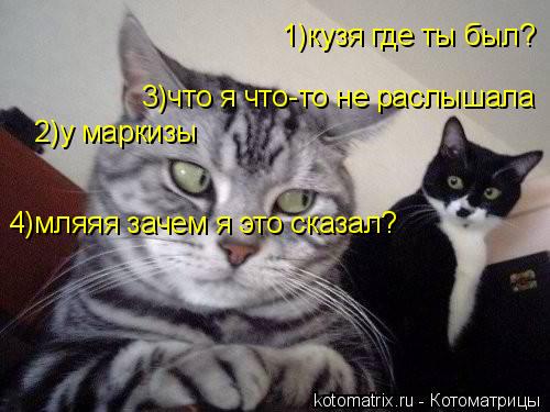 Котоматрица: 2)у маркизы  4)мляяя зачем я это сказал?  1)кузя где ты был?  3)что я что-то не раслышала