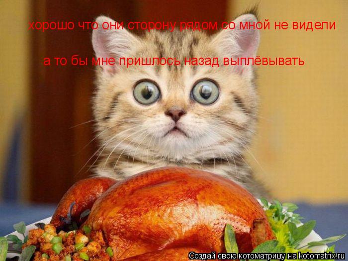 хорошо что они сторону рядом со мной не видели а то бы мне пришлось назад выплёвывать... Котоматрица: хорошо что они сторону рядом со мной не видели а то бы мне пришлось назад выплёвывать