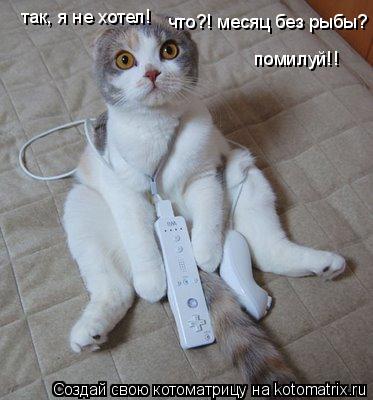 так, я не хотел! что?! месяц без рыбы? помилуй!!... Котоматрица: так, я не хотел! что?! месяц без рыбы? помилуй!!