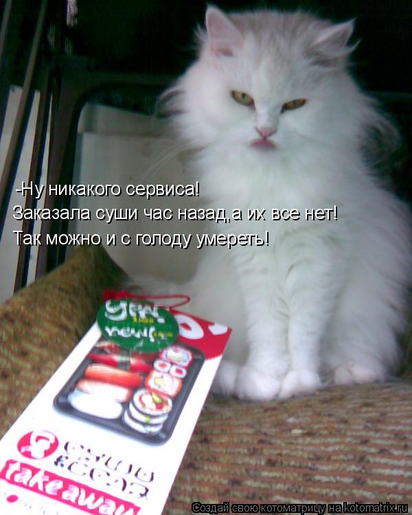 -Ну никакого сервиса! Заказала суши час назад,а их все нет! Так можно и с голоду умереть!... Котоматрица: -Ну никакого сервиса! Заказала суши час назад,а их все нет! Так можно и с голоду умереть!