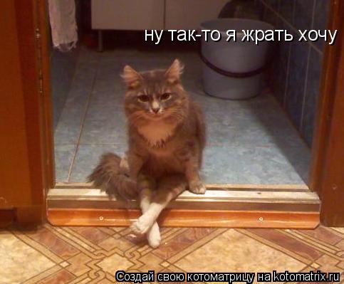 ну так-то я жрать хочу... Котоматрица: ну так-то я жрать хочу