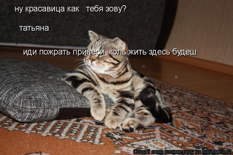 Котоматрица: ну красавица как   тебя зову?  татьяна иди пожрать принеси  коль жить здесь будеш