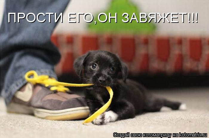 ПРОСТИ ЕГО,ОН ЗАВЯЖЕТ!!!... Котоматрица: ПРОСТИ ЕГО,ОН ЗАВЯЖЕТ!!!