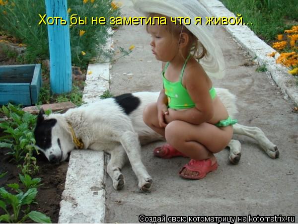 Котоматрица: Хоть бы не заметила что я живой...