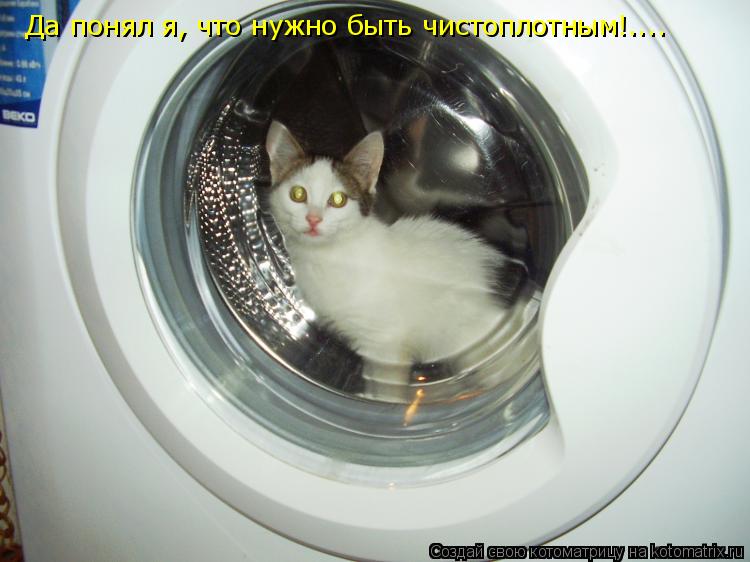 Котоматрица: Да понял я, что нужно быть чистоплотным!....