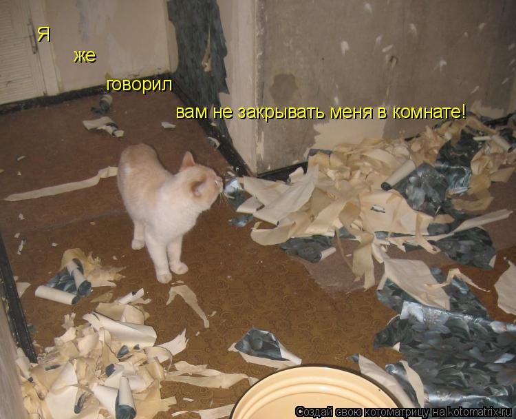Я же говорил вам не закрывать меня в комнате!... Котоматрица: Я же говорил вам не закрывать меня в комнате!
