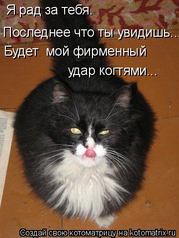 Я рад за тебя. Последнее что ты увидишь.... Будет мой фирменный удар когтями...... Котоматрица: Я рад за тебя. Последнее что ты увидишь.... Будет мой фирменный удар когтями...