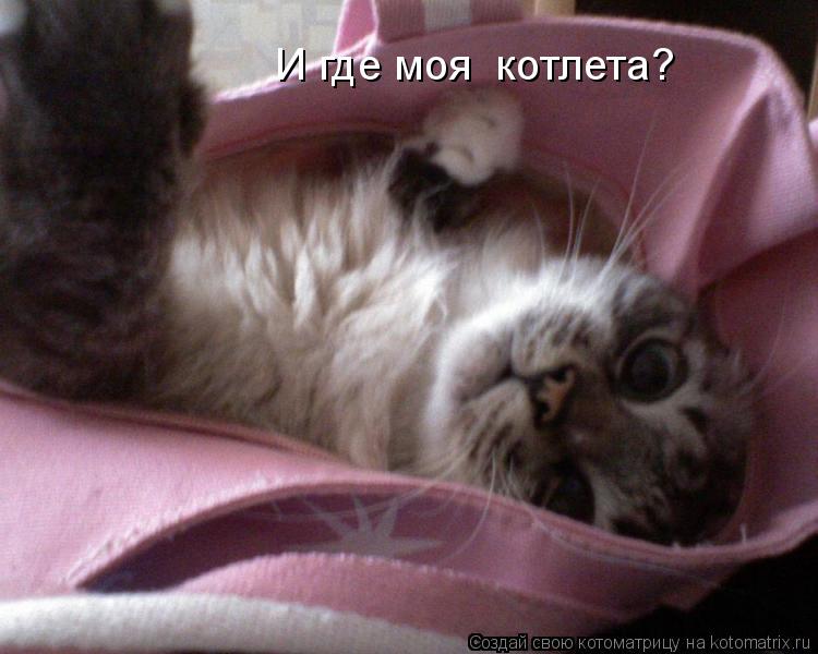 И где моя котлета?... Котоматрица: И где моя котлета?