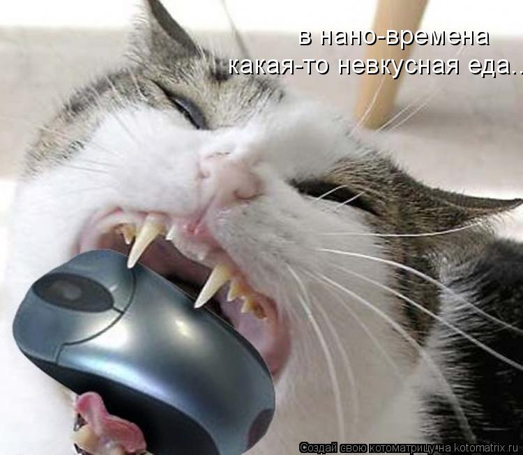 в нано-времена какая-то невкусная еда..... Котоматрица: в нано-времена какая-то невкусная еда..
