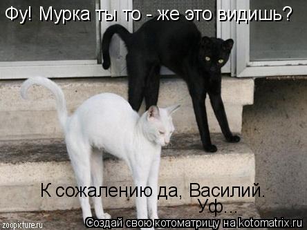 Фу! Мурка ты то - же это видишь? К сожалению да, Василий. Уф...... Котоматрица: Фу! Мурка ты то - же это видишь? К сожалению да, Василий. Уф...