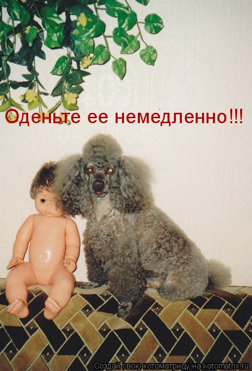 Оденьте ее немедленно!!!... Котоматрица: Оденьте ее немедленно!!!