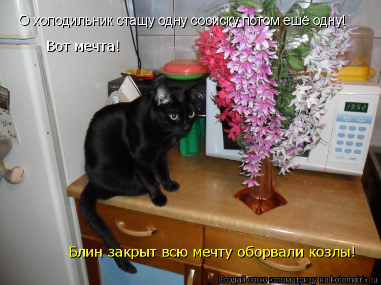 О холодильник стащу сосиску 1 потом ешё потом ешё вот мечта!,блин закрыт такую мечту обарвали! О холо... Котоматрица: О холодильник стащу сосиску 1 потом ешё потом ешё вот мечта!,блин закрыт такую мечту обарвали! О холодильник стащу одну сосиску потом ешё од