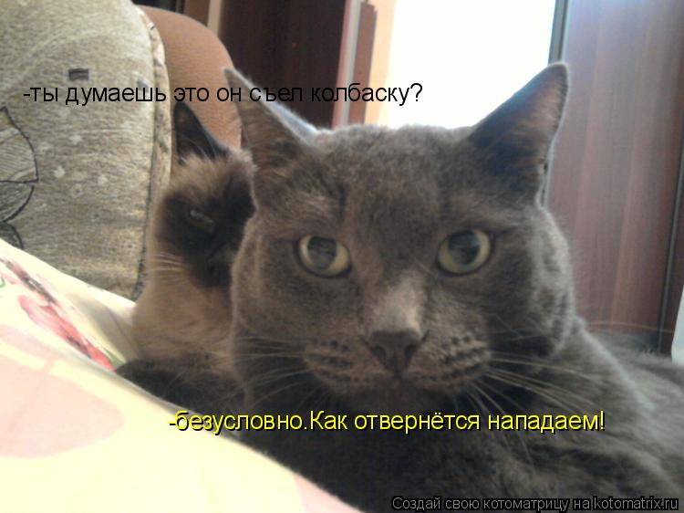 -ты думаешь это он съел колбаску? -безусловно.Как отвернётся нападаем!... Котоматрица: -ты думаешь это он съел колбаску? -безусловно.Как отвернётся нападаем!